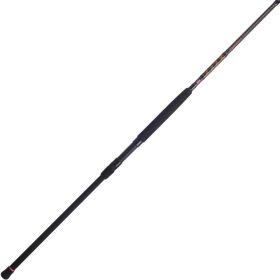 Squadron III Surf Spinning Fishing Rod